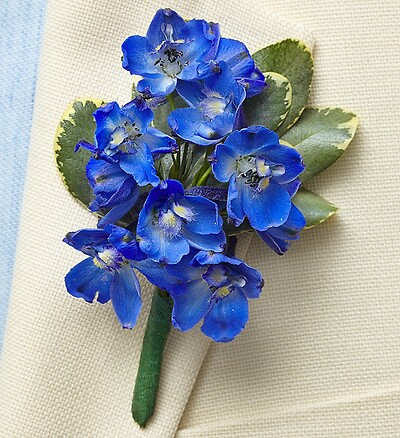 Country Charm Boutonniere