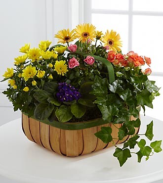 The Gentle Blossoms&amp;trade; Basket